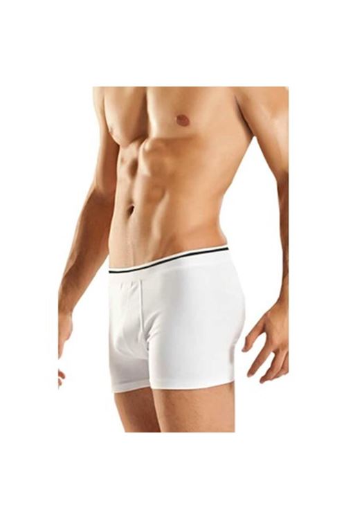 BERRAK ERKEK BOXER